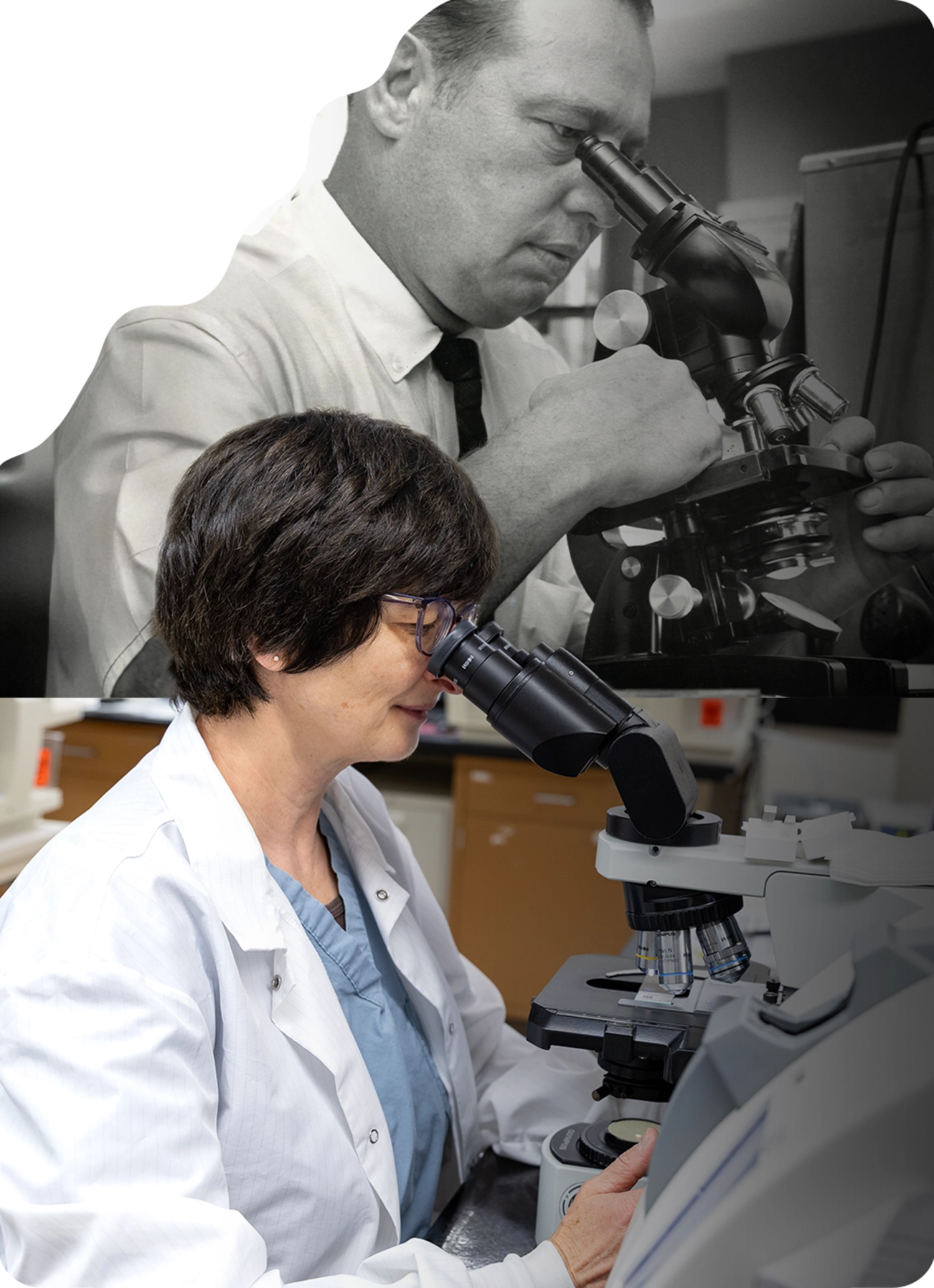 A Wood County Hospital lab professional examines a sample through a microscope